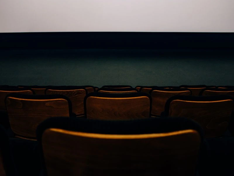 Dedicated home theater and cinema room - Washington, DC