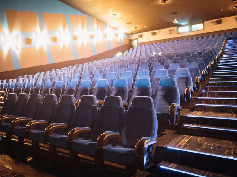 Dedicated home theater and cinema room - Virginia