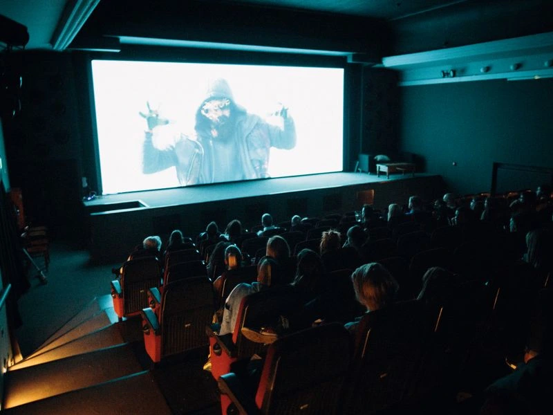 Dedicated home theater and cinema room - Falls Church