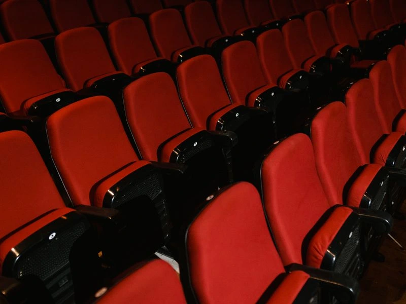 Dedicated home theater and cinema room - Fairfax Station