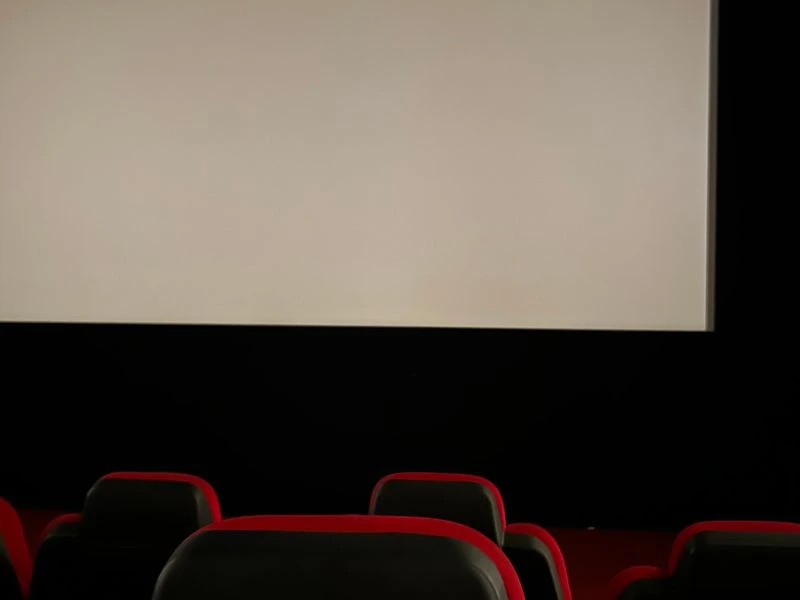 Dedicated home theater and cinema room - McLean