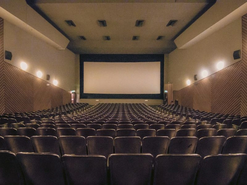 Dedicated home theater and cinema room - Clifton, VA