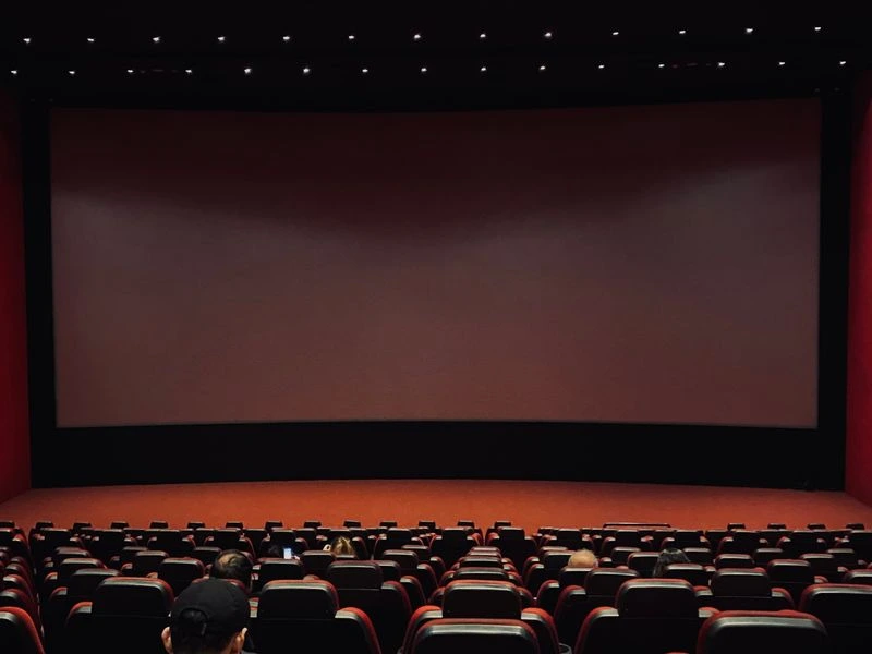 Dedicated home theater and cinema room - Chevy Chase
