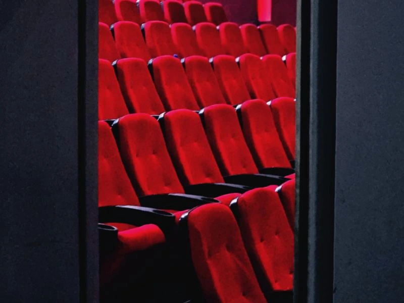 Dedicated home theater and cinema room - Potomac